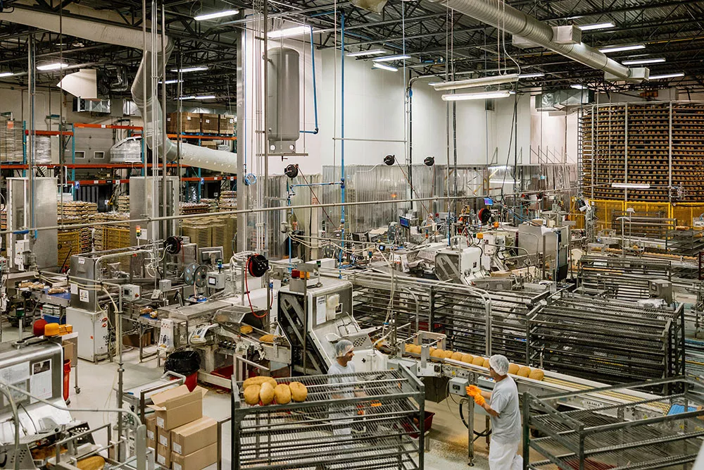 Bread Height Prediction and Decision Support Using AI